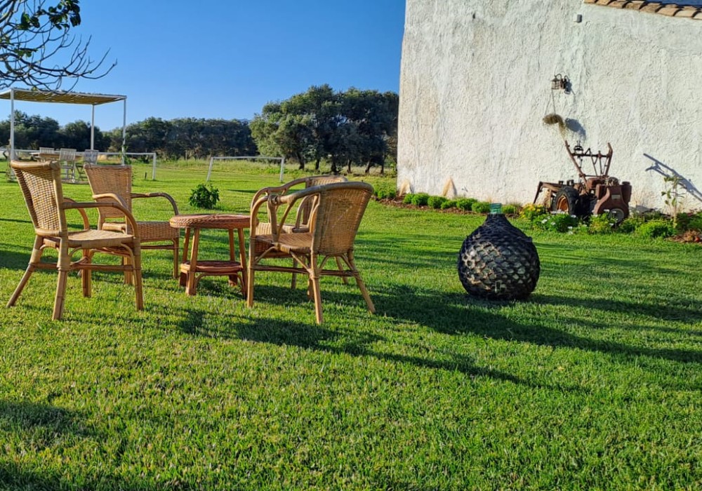 Chi-siamo-martino house