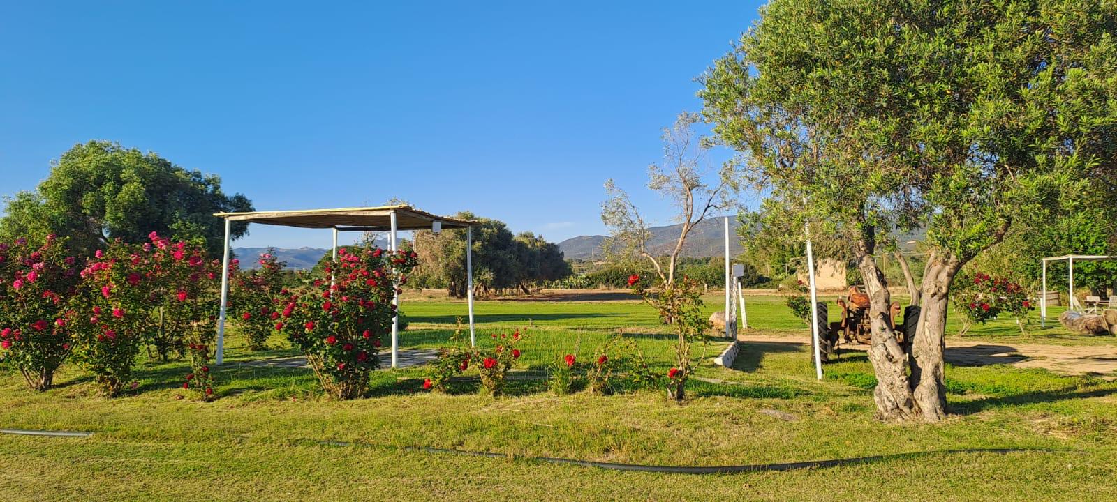 i giardini di san martino